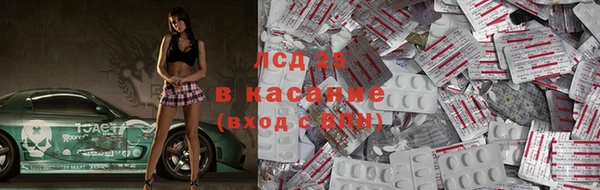 apvp Алзамай